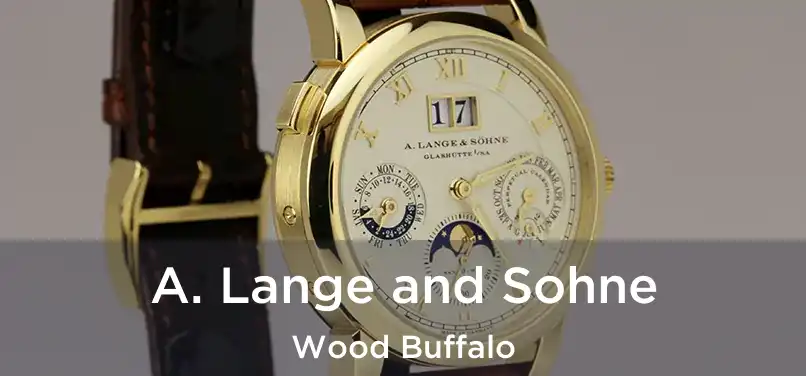  A. Lange and Sohne Wood Buffalo