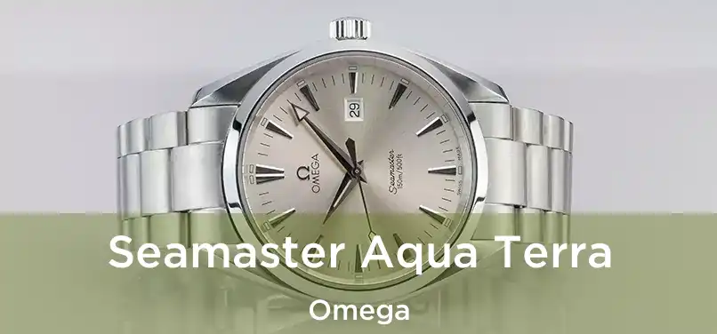  Seamaster Aqua Terra Omega