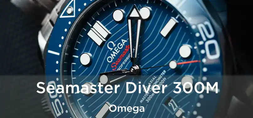  Seamaster Diver 300M Omega