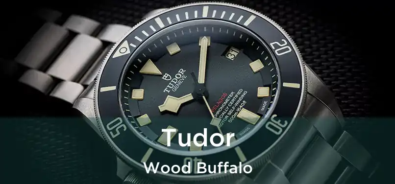  Tudor Wood Buffalo
